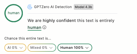After AI Humaniser – reduced AI plagiarism percentage